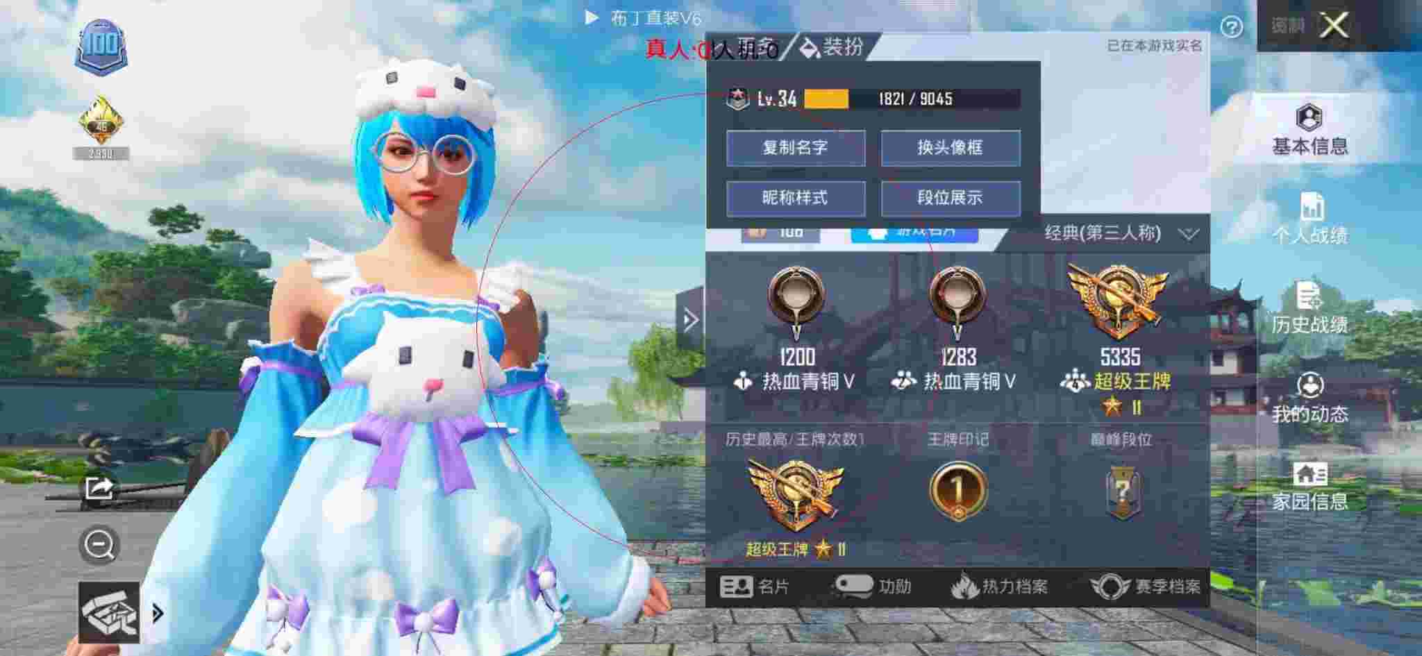 和平精英布丁直装透视 - 和平精英小狗衣服辅助预览图